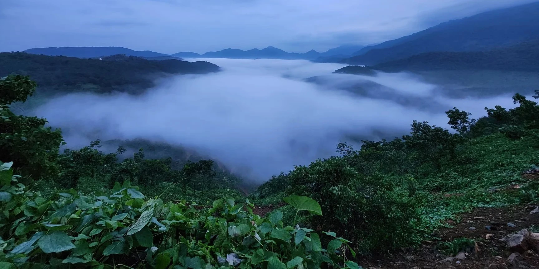 kuttikkanam tourist spots home
